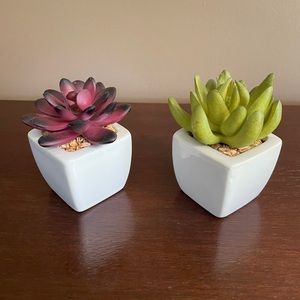 SET OF TWO MINI DECO PLANTERS